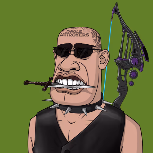 Jungle Destroyers Official