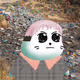 207