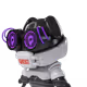 247