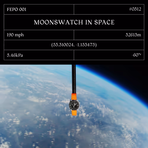 Moonswatch In Space