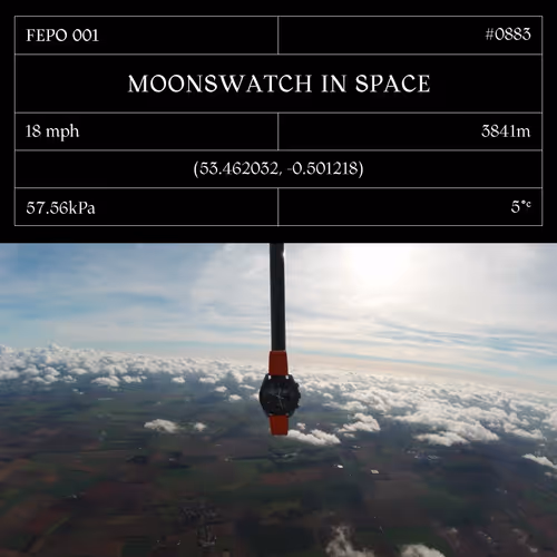 Moonswatch In Space