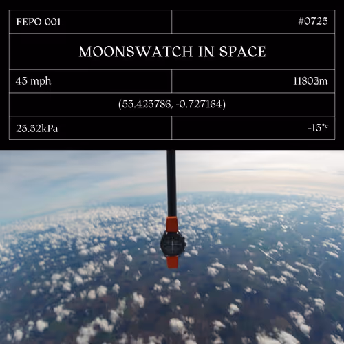 Moonswatch In Space