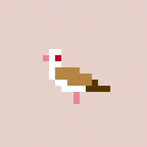 Crypto Pigeon #31