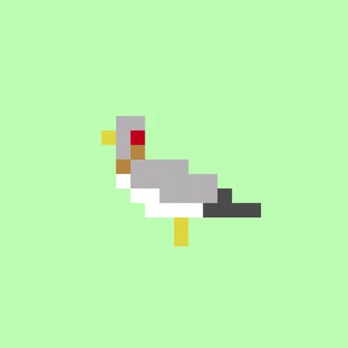 Crypto Pigeon #60