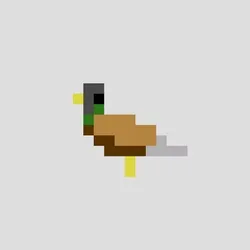 Crypto Pigeon #57