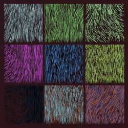 Flow Fields #439