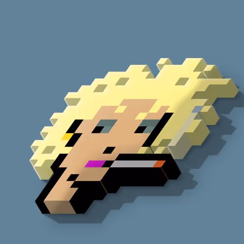 Cryptopunks 3d