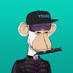 Time Travel Ape Society #3000