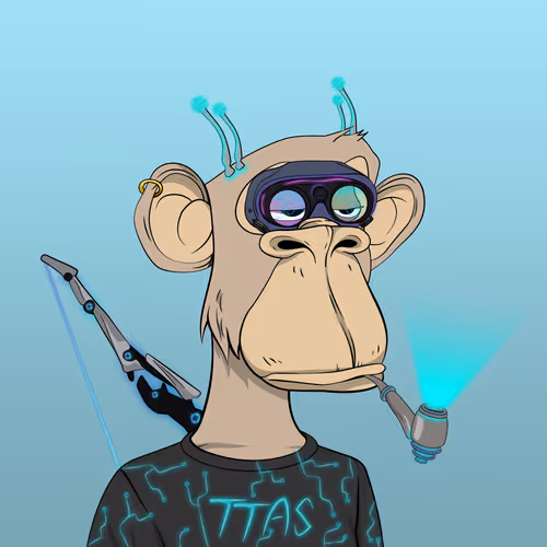 Time Travel Ape Society