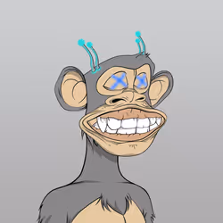Time Travel Ape Society #2997