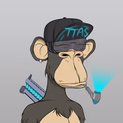 Time Travel Ape Society #8065