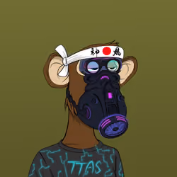 Time Travel Ape Society #8456