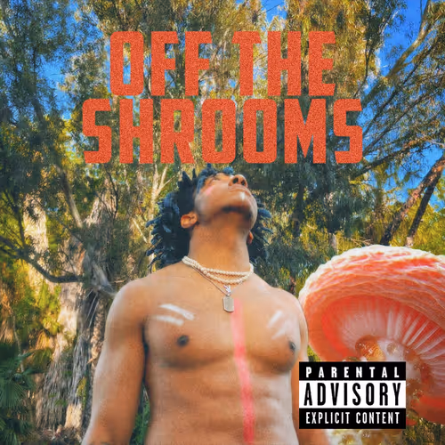 Kevin George Off The Shrooms