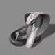 Cobra