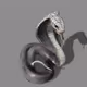 Cobra