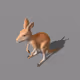 Kangaroo