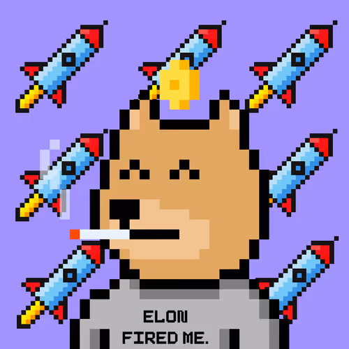 Dogetwitt Moon Club
