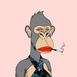 Desperate ApeWife #8682