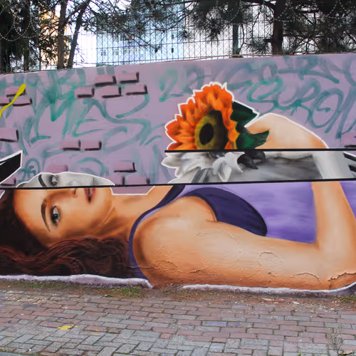 Miesgraffitiwall