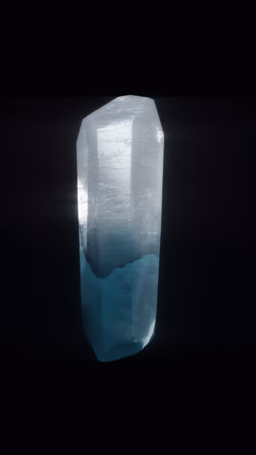 Item #54 Media