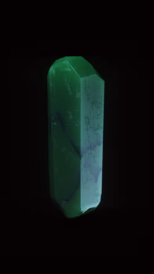 Item #42 Media