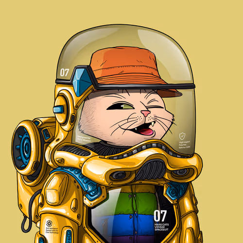 Marscatsinspacesuits