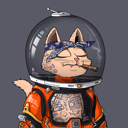 Mars Cat in Spacesuit #1363