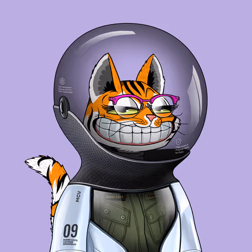 Mars Cat in Spacesuit #1358
