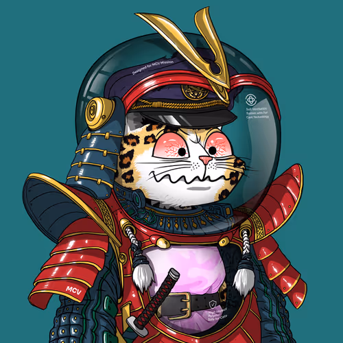 Mars Cat in Spacesuit #23