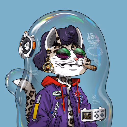 Mars Cat in Spacesuit #1400