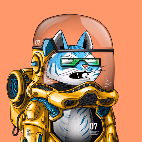 Marscatsinspacesuits