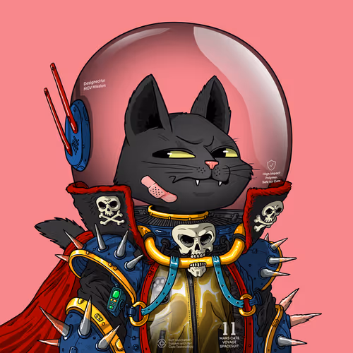 Mars Cat in Spacesuit #91