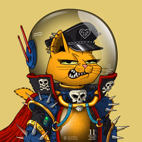 Mars Cat in Spacesuit #641