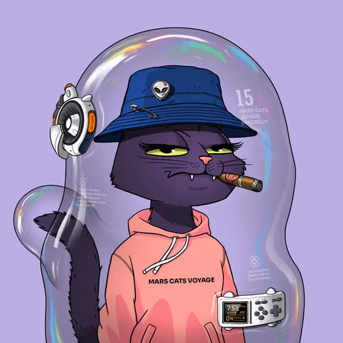 Mars Cat in Spacesuit #1770