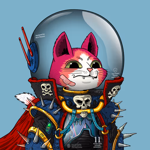 Mars Cat in Spacesuit #172