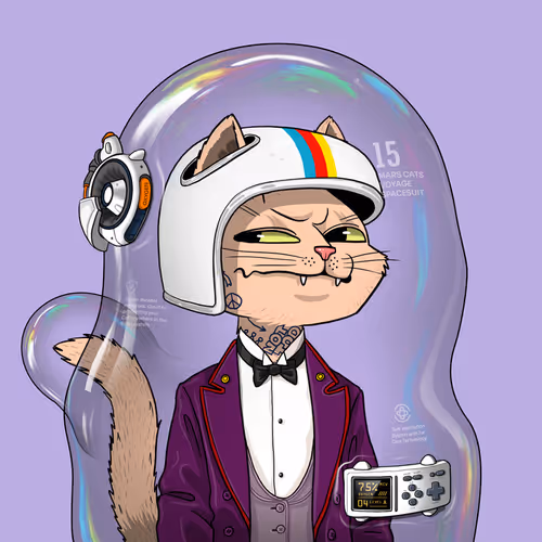 Mars Cat in Spacesuit #1635