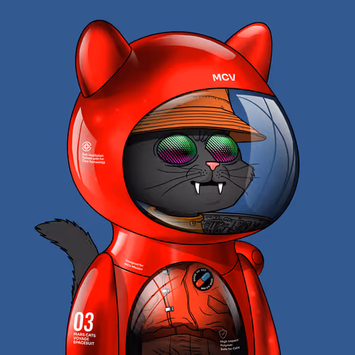 Marscatsinspacesuits
