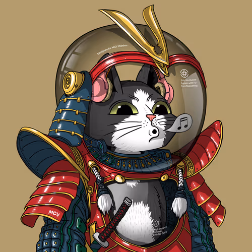 Marscatsinspacesuits