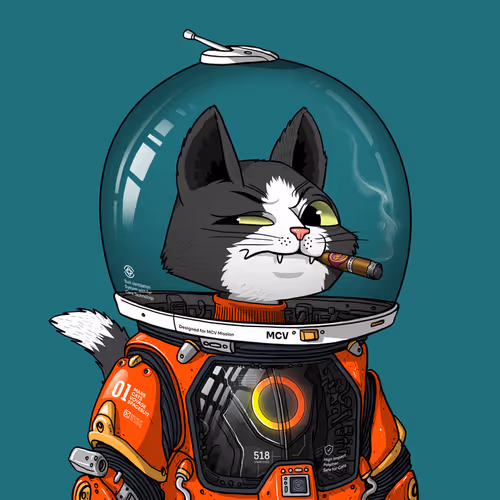 Marscatsinspacesuits