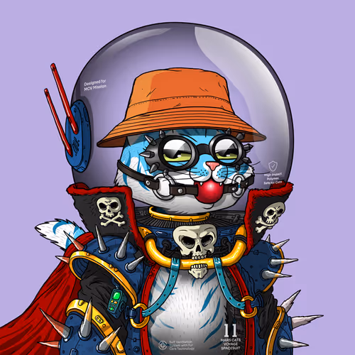 Mars Cat in Spacesuit #578
