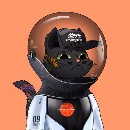 Marscatsinspacesuits
