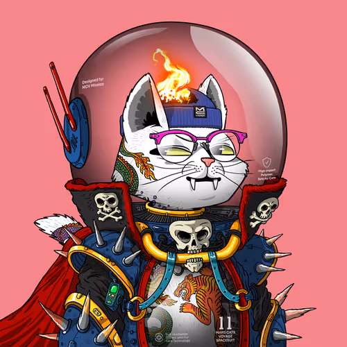 Mars Cat in Spacesuit #1254