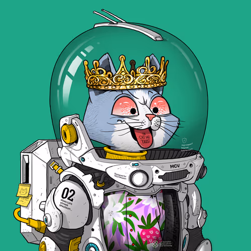 Marscatsinspacesuits