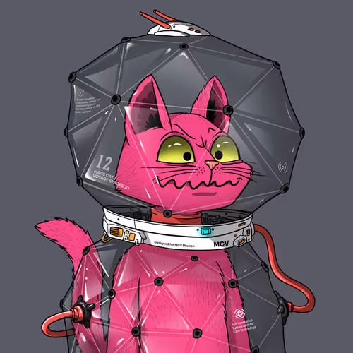 Mars Cat in Spacesuit #790