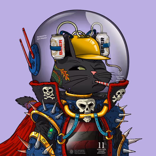 Marscatsinspacesuits