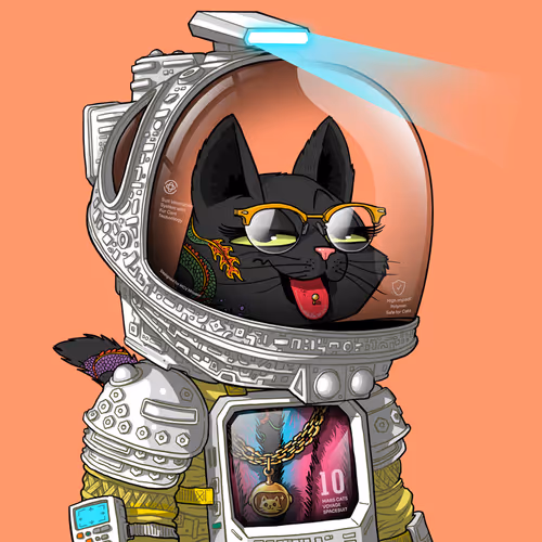 Marscatsinspacesuits