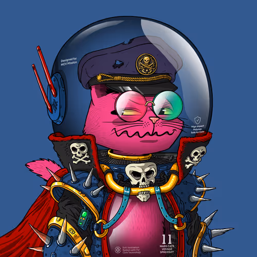 Mars Cat in Spacesuit #1287