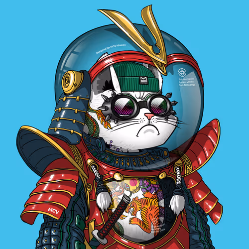 Marscatsinspacesuits