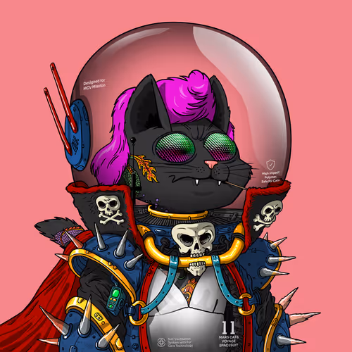 Mars Cat in Spacesuit #71