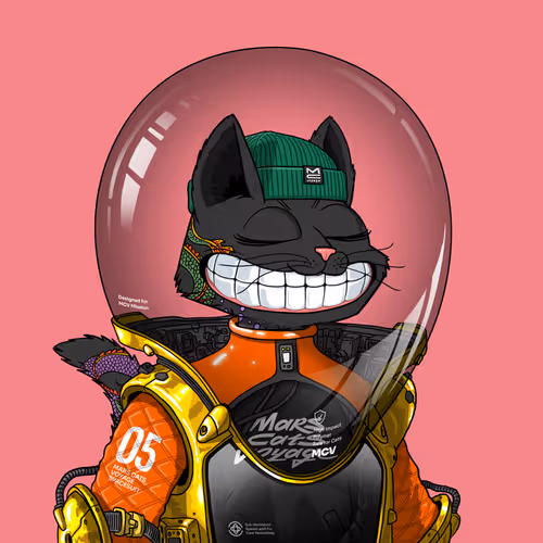 Mars Cat in Spacesuit #222
